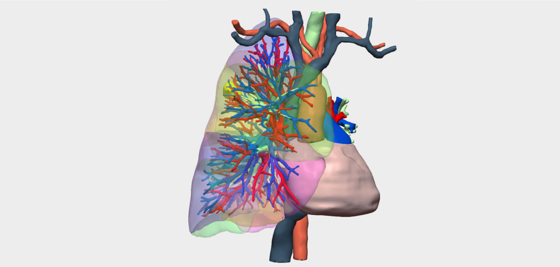 Adenocarcinoma pulmonar en el segmento 2 derecho